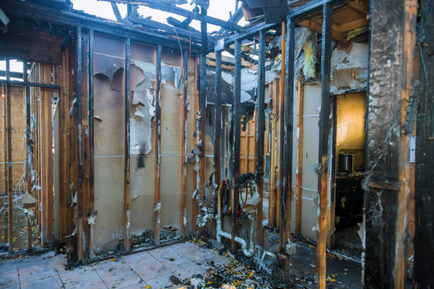 Professional Fire Damage Removal technician working in Carter Lake, IA